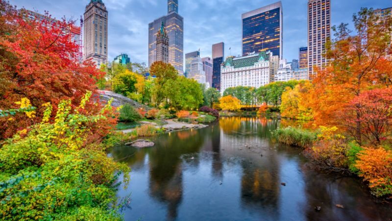 New York City Landmarks and Iconic Sights Tour - Lower Manhattan: Wall Street, Trinity Church, and the 9/11 area