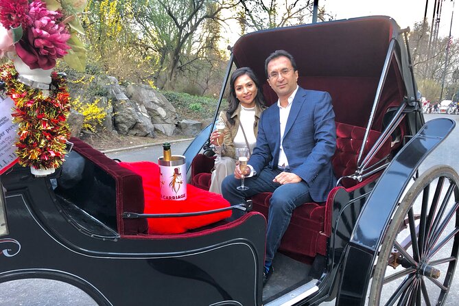 New York City Private Central Park Horse and Carriage Ride - Traveler Photos of the Horse and Carriage Ride