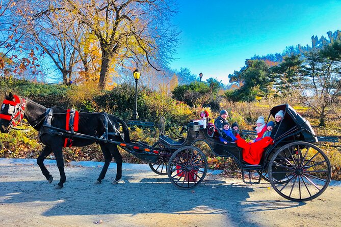 New York City Private Central Park Horse and Carriage Ride - The Sum Up