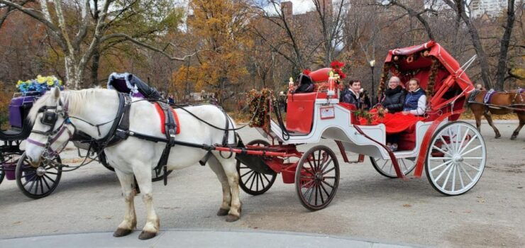 New York City: Private Horse Carriage Tour - Experience and Sights