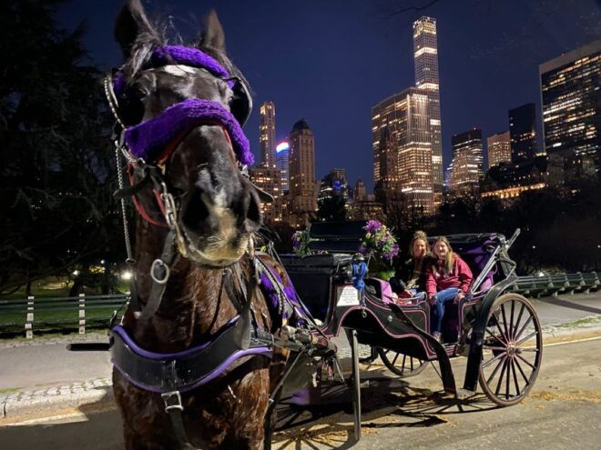 New York City: Private Horse Carriage Tour - Duration and Details