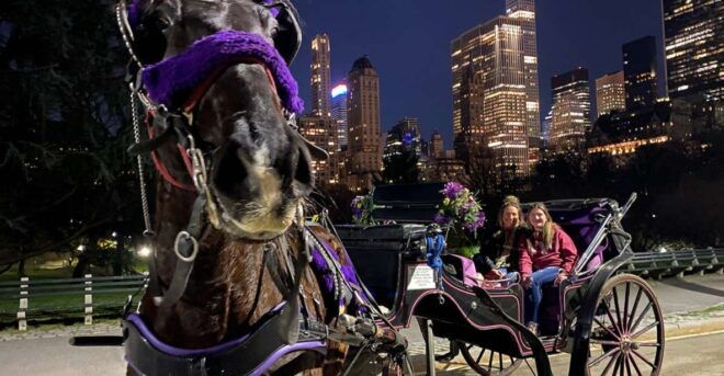 New York City: Private Horse Carriage Tour - Directions