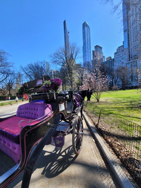 New York City: Private Horse Carriage Tour - Customer Reviews and Feedback