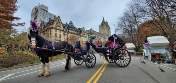 New York City: Private Horse Carriage Tour - The Sum Up