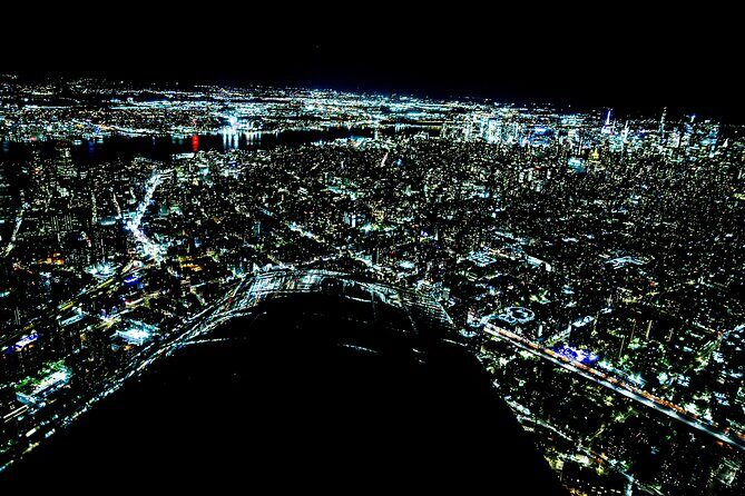 New York City Private Tour by Plane at Night - Authentic Insights from Reviewers