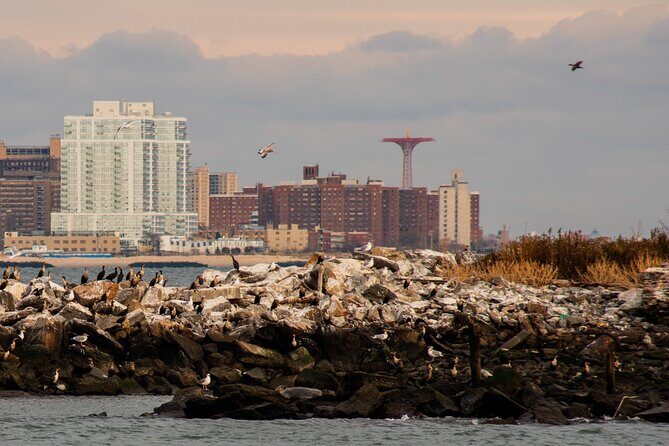 New York City Sightseeing and Seals Boat Tour - Why This Tour Offers Value