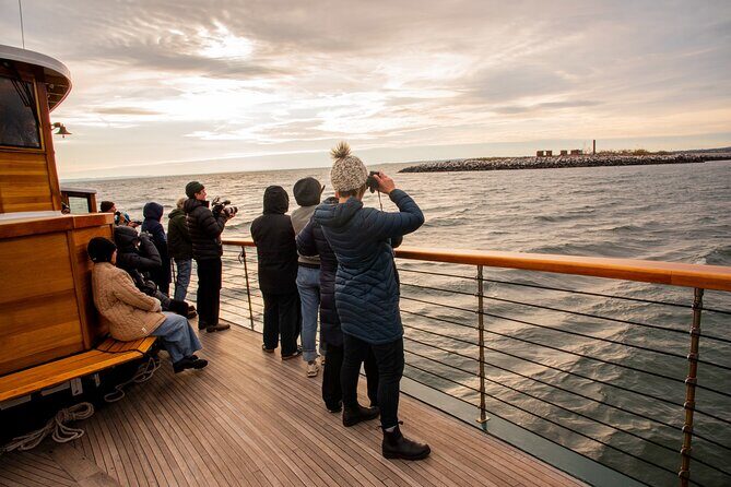 New York City Sightseeing and Seals Boat Tour - FAQs