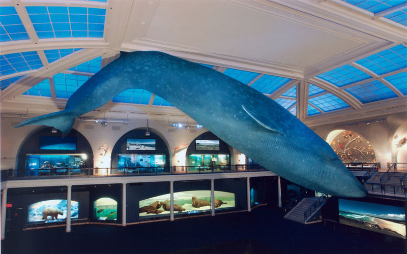 New York CityPASS - American Museum of Natural History, with an extra choice
