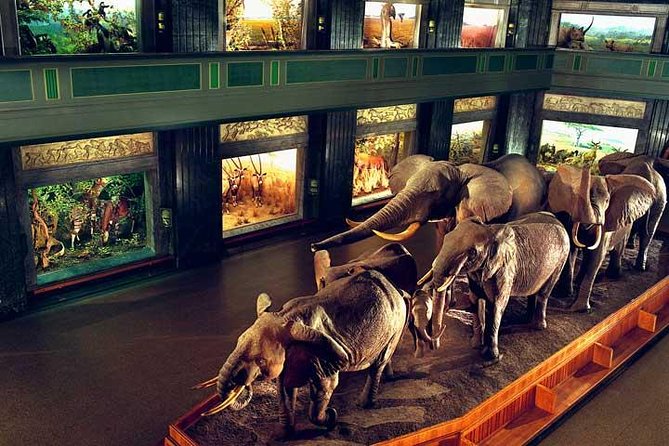 New York CityPASS - Tips for Using the New York Citypass