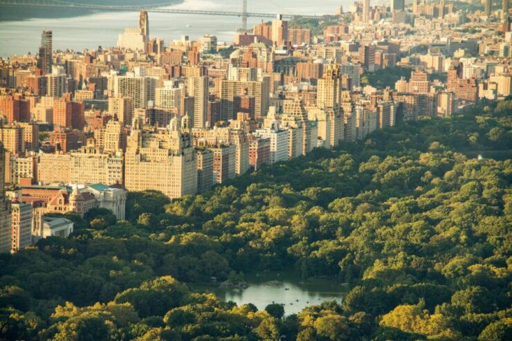 New York Edge Observation Deck & Little Island Pier 55 Tour - Experience Description