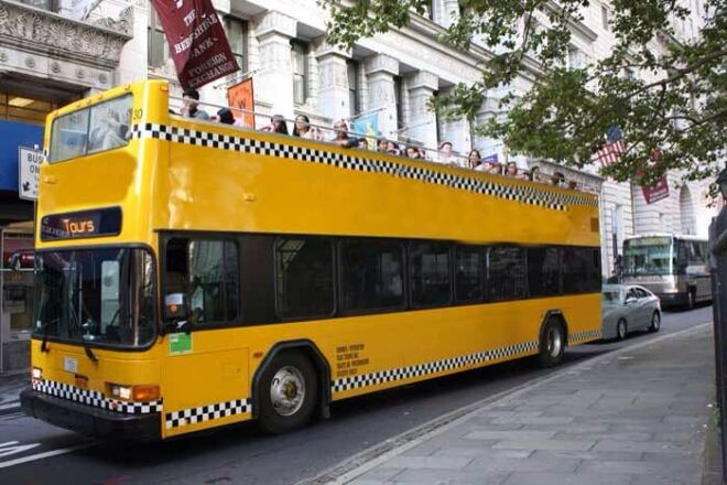 New York Holiday Lights & Grand Central - Tour Highlights