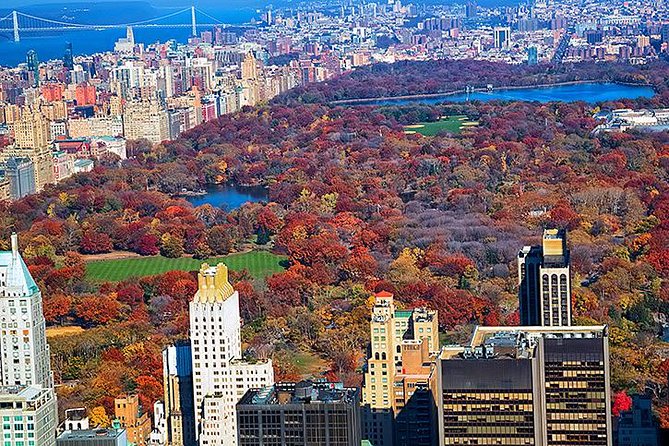 New York Tour by Subway and Bus With Private Guide - Pricing and Booking