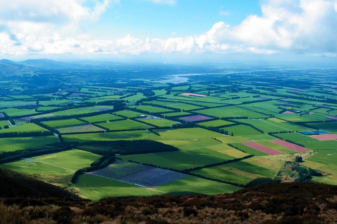 New Zealand Farm & Scenic Day Tour From Christchurch - Tour Details
