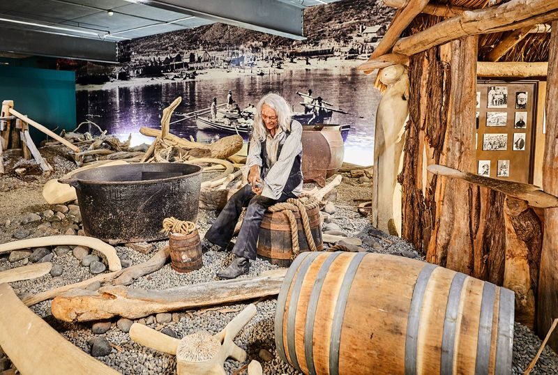 New Zealand Maritime Museum Ticket - Make time for the modern yachts