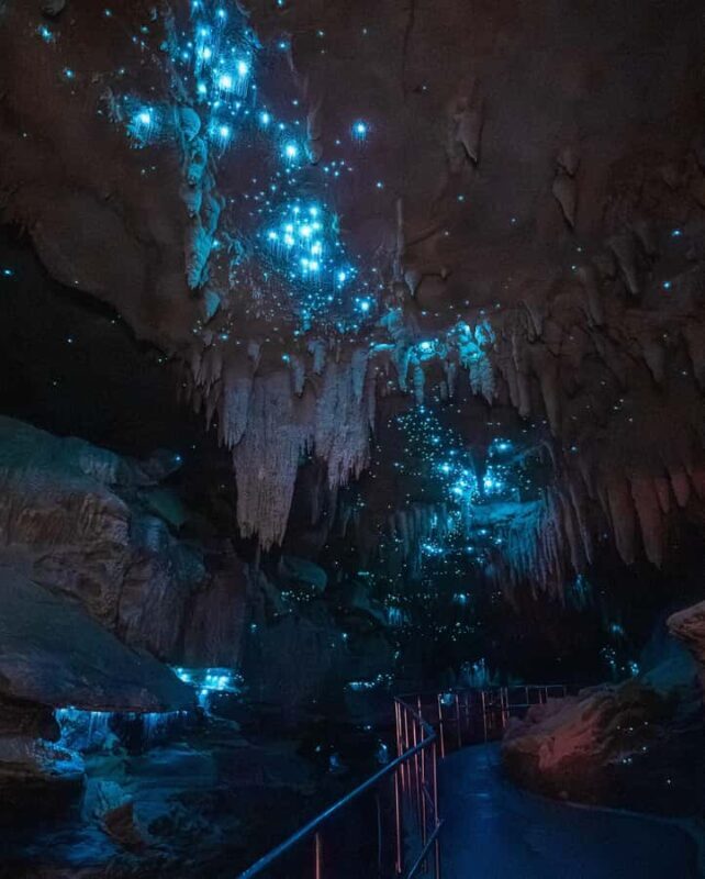 New Zealand: Milky Way Glowworm Cave Tour - Pricing and Value