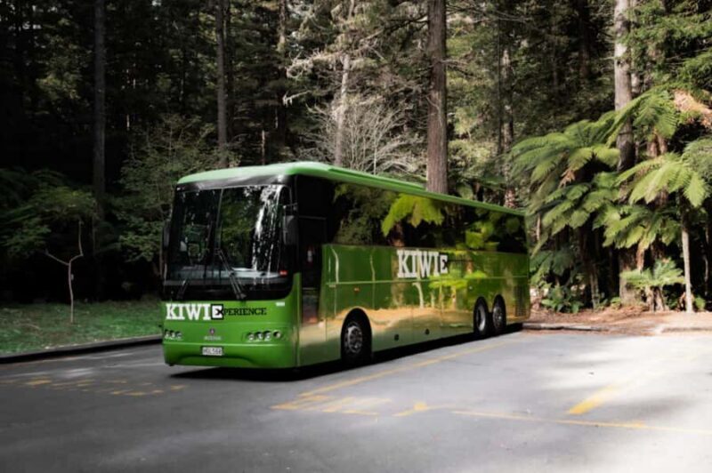 New Zealand: National Hop-On Hop-Off Pass - What Makes This Tour Stand Out?