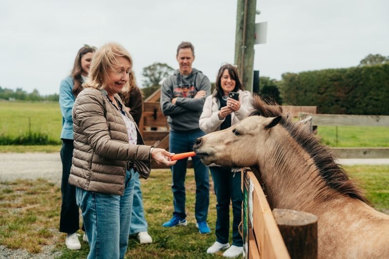 New Zealand Sheep Farm Trip with Lunch and Winery Day Tour - Sheepdogs, shearing and the seasonal lamb question