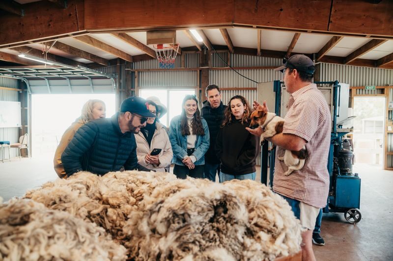 New Zealand Sheep Farm Trip with Lunch and Winery Day Tour - Waipara wine tasting, with modest expectations