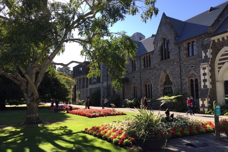 New Zealand Sheep Farm Trip with Lunch and Winery Day Tour - What the price covers, and what it does not