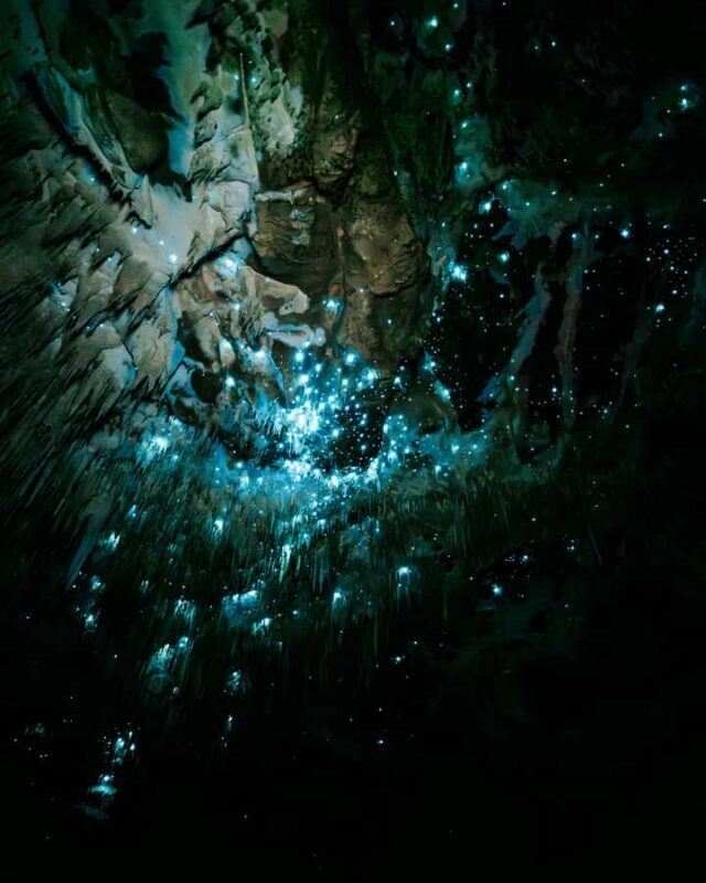 New Zealand: Starburst Cathedral in Milky Way Glowworm Cave - A Deep Dive into the Experience