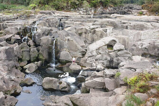 New Zealand Tauranga Tour with Transportation and Snacks - Authentic Insights from Past Travelers