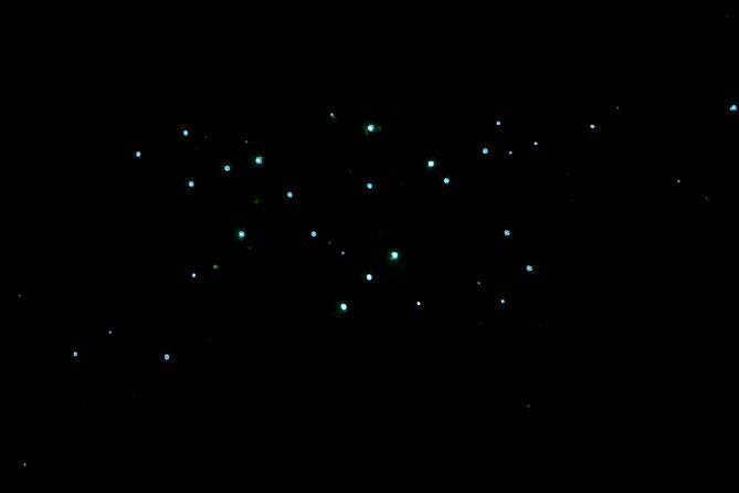 New Zealand Tauranga Tour with Transportation and Snacks - FAQ