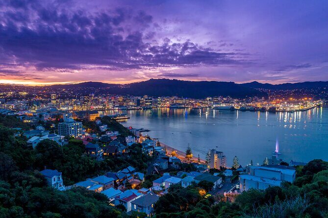 New Zealand Wellington Airport (WLG) to Wellington City Centre - Pricing Analysis and Value