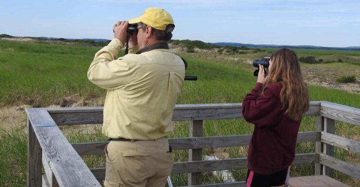 Newburyport: Plum Island Bird Watching Tour W/Transportation - Good To Know