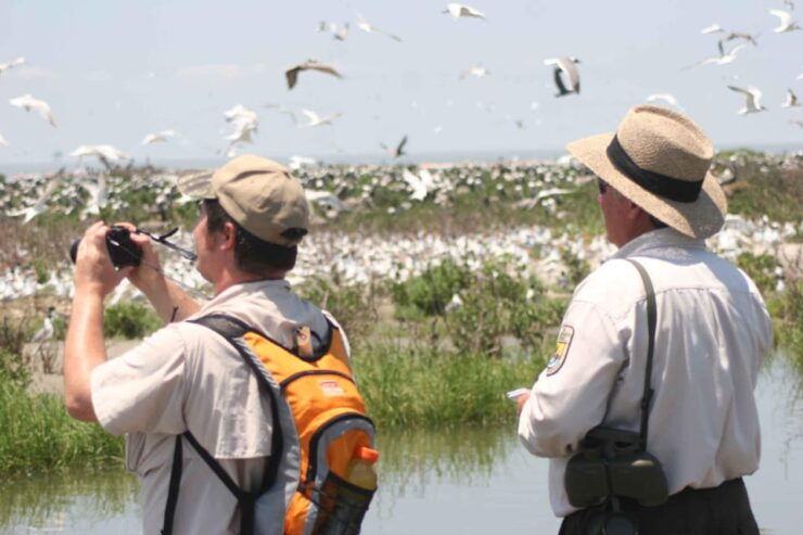 Newburyport: Plum Island Bird Watching Tour W/Transportation - Transportation Details