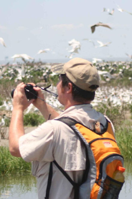 Newburyport: Plum Island Bird Watching Tour W/Transportation - Inclusions and Exclusions