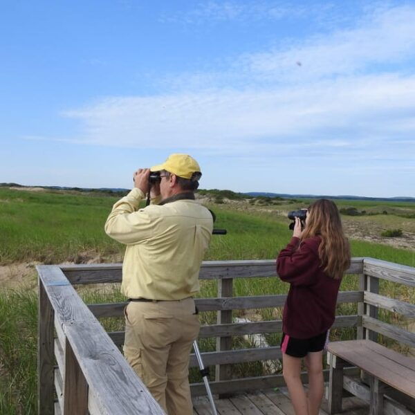 Newburyport: Plum Island Bird Watching Tour W/Transportation - Booking and Cancellation