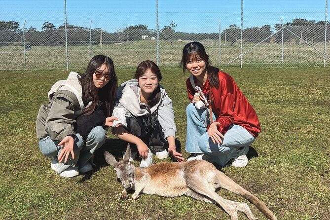Newcastle: Animal Lovers Tour - Kangaroos, Dolphins & more! - Exploring the Newcastle: Animal Lovers Tour – Kangaroos, Dolphins & More!