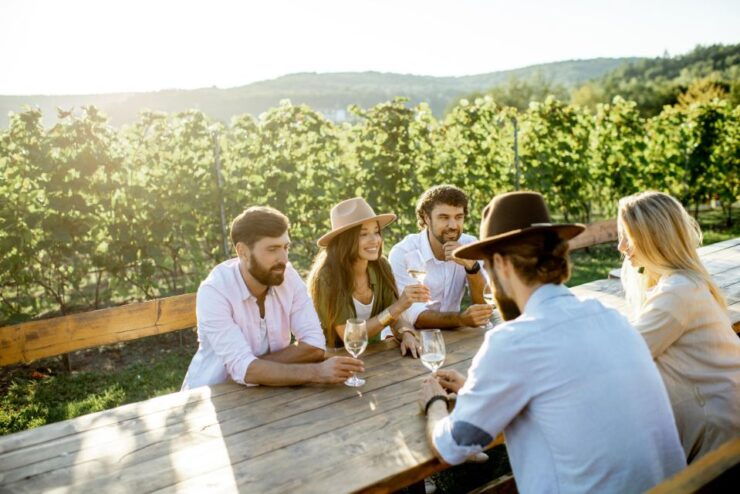 Newcastle: Boutique Hunter Valley Wine Tour - Highlights