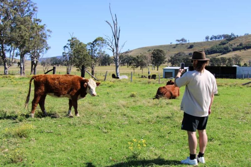Newcastle: Hunter Valley River & Farm Tour with BBQ - What Travelers Say