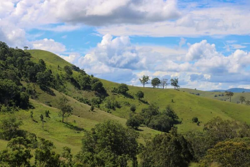 Newcastle: Hunter Valley River & Farm Tour with BBQ - Concluding Thoughts