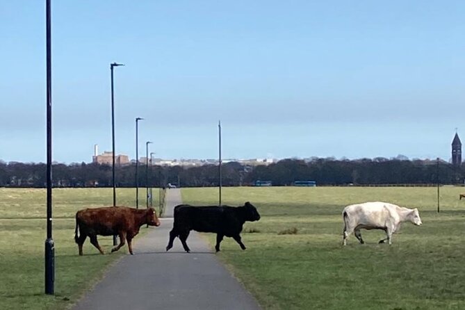 Newcastle Parks and City Sights Bike Tour  - Newcastle-upon-Tyne - Price Varies