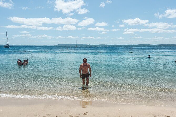 Newcastle: Port Stephens day tour - Dolphins, hike & swim! - An Overview of What to Expect