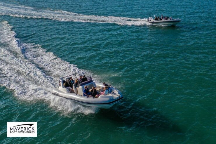 Newhaven: Eastbourne Airshow All-Day Boat Trip - Experience During the Boat Trip
