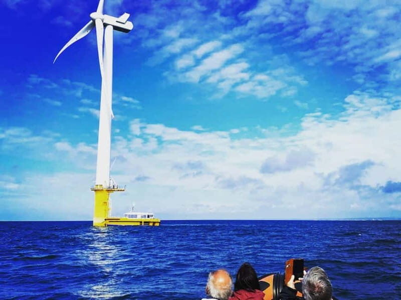 Newhaven: Rampion Offshore Wind Farm Boat Tour - Good To Know