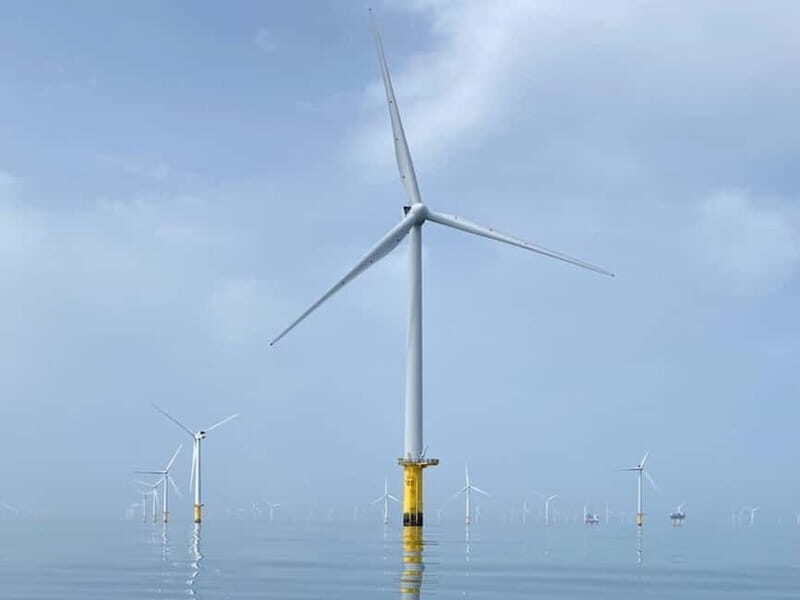 Newhaven: Rampion Offshore Wind Farm Boat Tour - FAQs