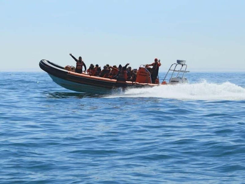 Newhaven: Three Zero Seaford Bay Speedboat Ride - Introduction: What’s This Speedboat Adventure About?