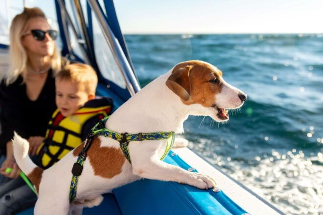 Newport Beach: Electric Boat Rental - Rental Duration and Pricing