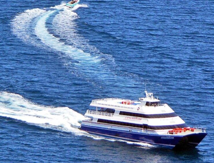 Newport Beach: Ferry Ticket To/From Catalina Island - Booking Details