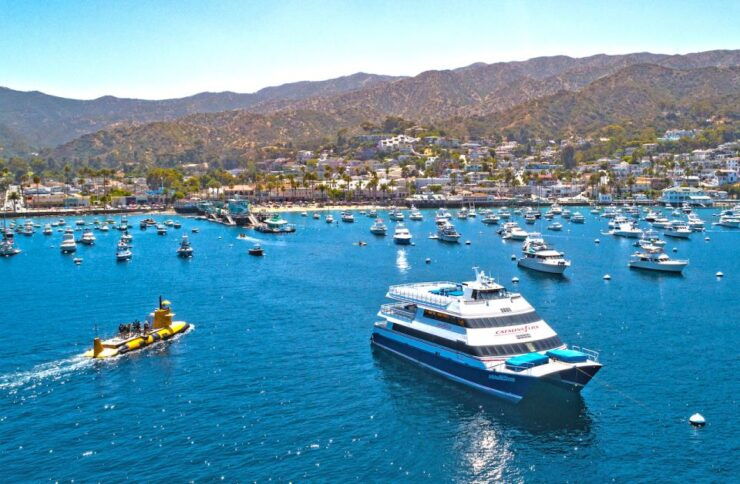 Newport Beach: Ferry Ticket To/From Catalina Island - Experience Highlights