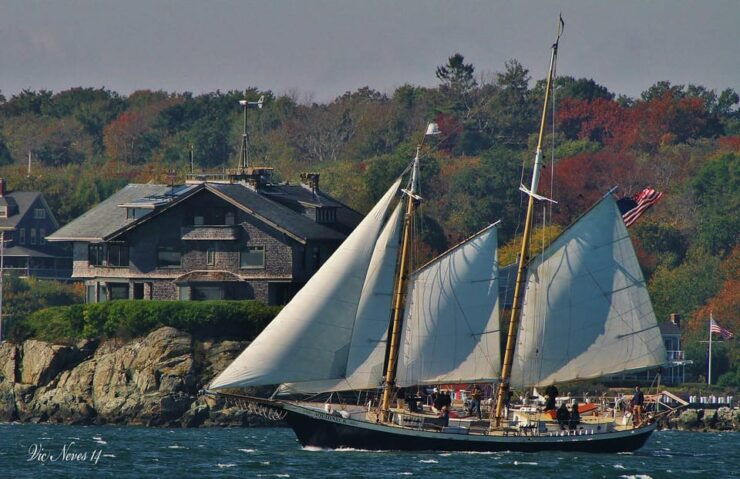 Newport: Morning Mimosa Sail Aboard Schooner Aquidneck - Experience Highlights