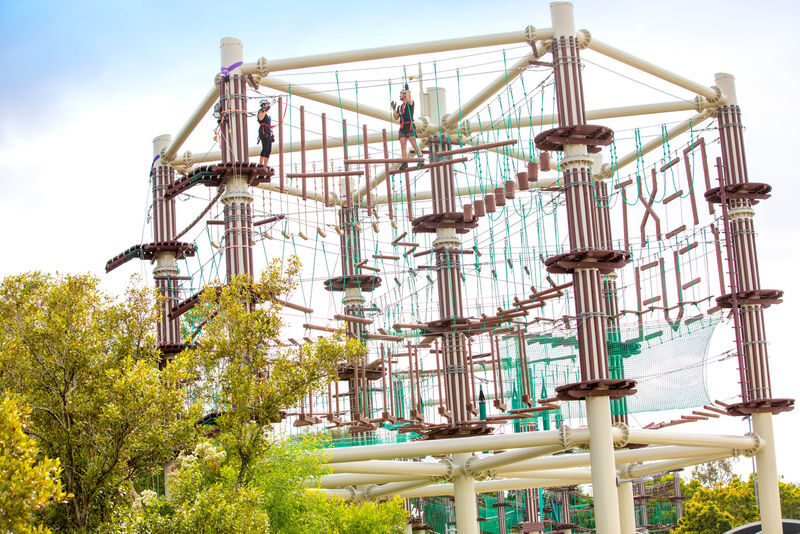 Next Level High Ropes Course in Maroochydore - Key points before you book