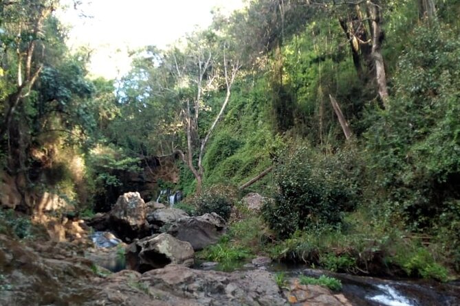 Ngare Ndare Day Trip - Nanyuki - Inclusions