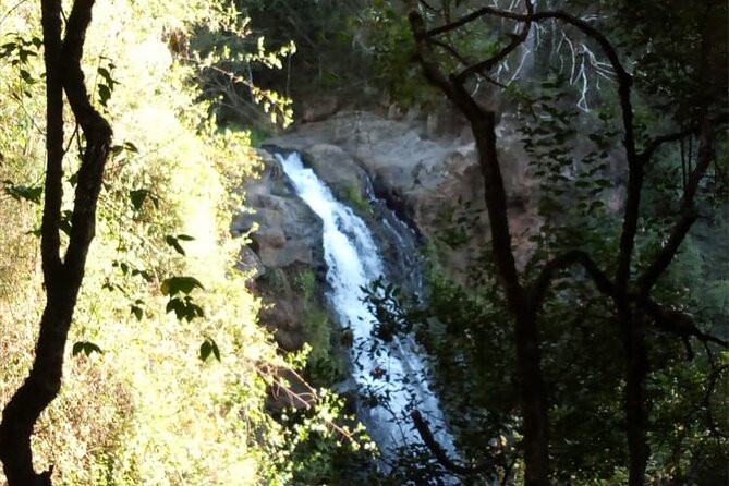 Ngare Ndare Day Trip - Nanyuki - Booking Information