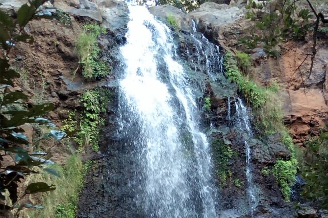 Ngare Ndare Day Trip - Nanyuki - Customer Reviews