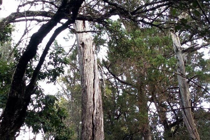 Ngare Ndare Day Trip - Nanyuki - Additional Information